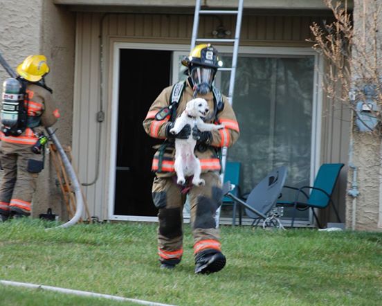 ΗΠΑ: Η χαρά ενός κουταβιού που έσωσαν οι πυροσβέστες από φλεγόμενο διαμέρισμα [φωτό]